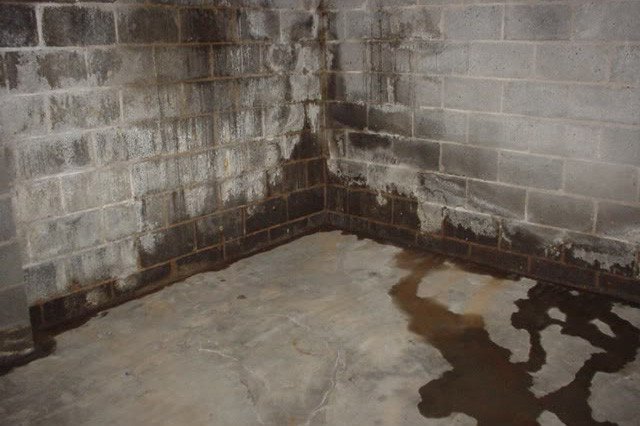 Seal any possible gaps in your basement