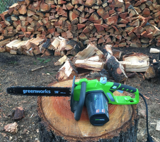 Greenworks 20222 Electric Chainsaw